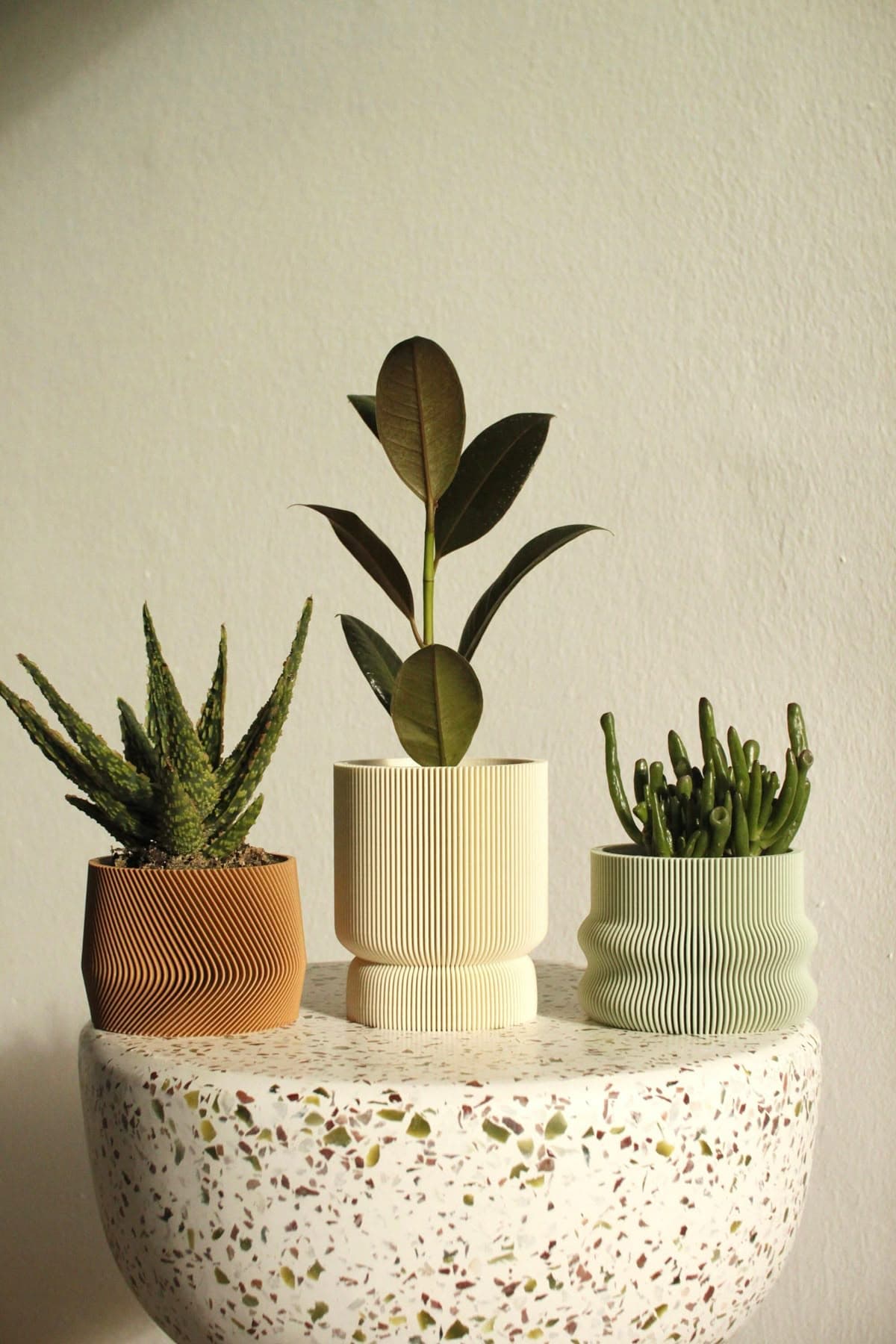 Flora Urbana imagen 2